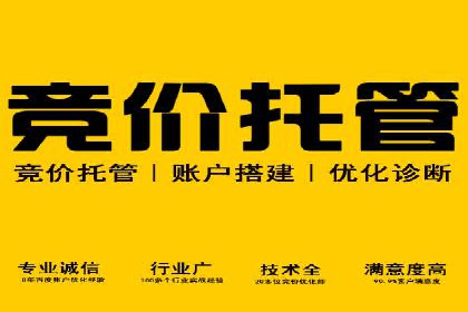 顶级SEM服务公司案例解析